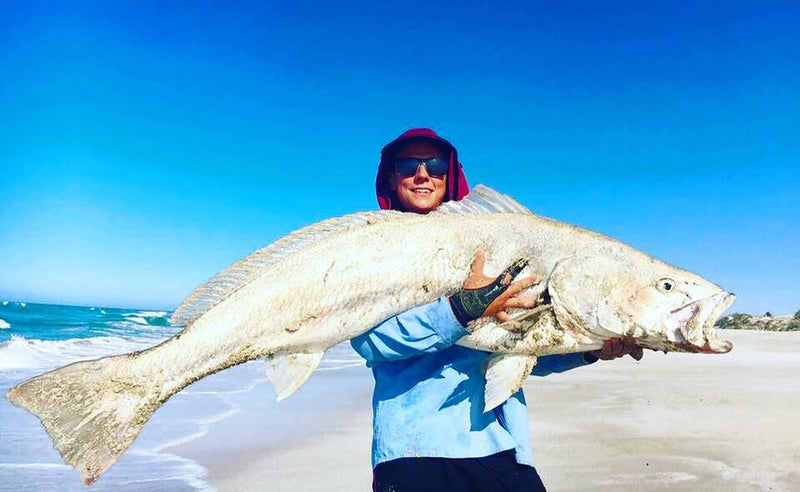 Mulloway or Jewfish - What is a Jewfish?
