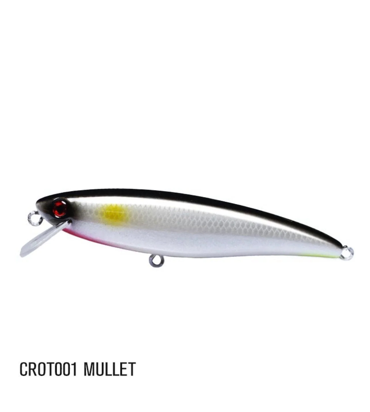 CROAKER OTOLITH